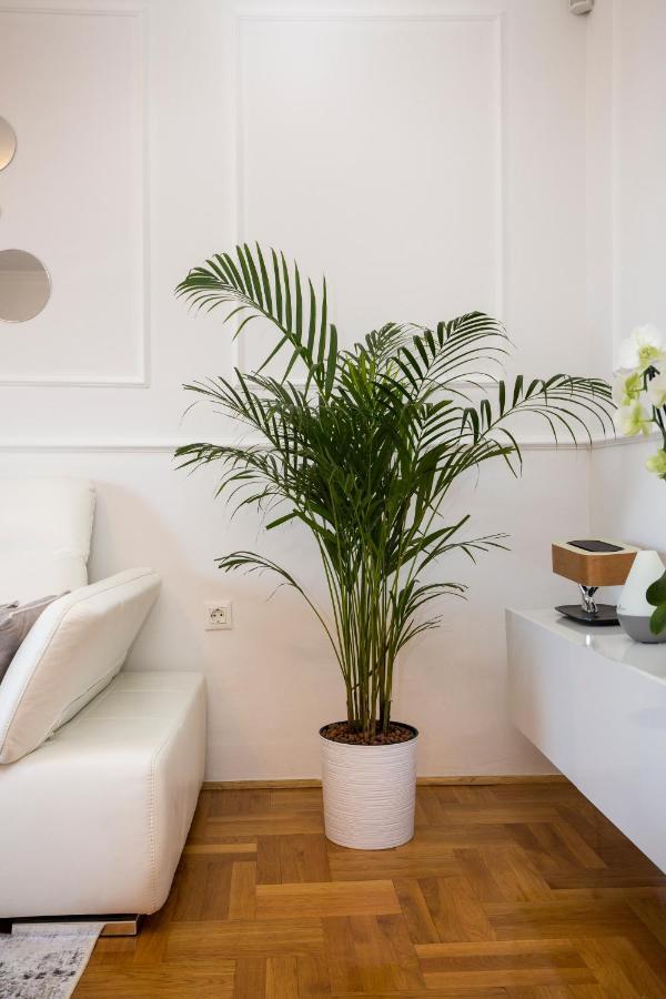 Apartment Parentium 波雷奇 外观 照片